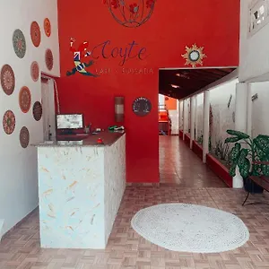 Coyte Porto Seguro